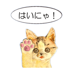 [LINEスタンプ] リアル風猫−気持ちを伝える①