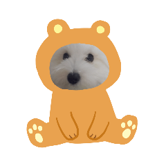 [LINEスタンプ] マルプーのとんとん日記。2 