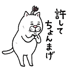 [LINEスタンプ] 目付きの悪いネコ【ダジャレ】