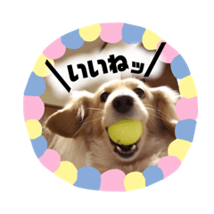 [LINEスタンプ] ビリーstamp