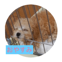 [LINEスタンプ] マロンとマロ