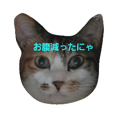 [LINEスタンプ] ちびちゃんの気まぐれスタンプ