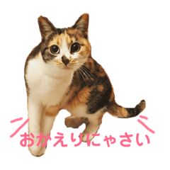 [LINEスタンプ] 芸のないチョコ