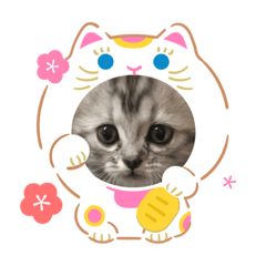 [LINEスタンプ] とみ ちゃん
