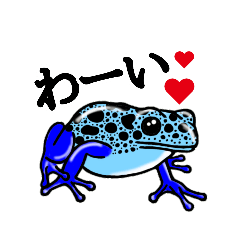 [LINEスタンプ] 世界の毒カエル