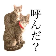 [LINEスタンプ] ぐりぐらといっしょ