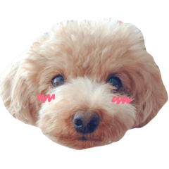 [LINEスタンプ] いぶるう2