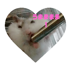 [LINEスタンプ] ジャンガリアンのトットとピーナッツ第一弾