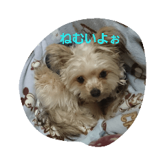 [LINEスタンプ] ももちゃんラブ1