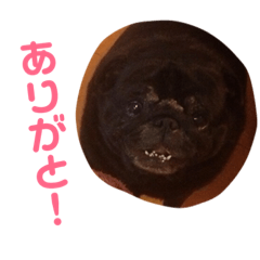 [LINEスタンプ] ウーロン君②
