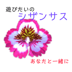 [LINEスタンプ] 花言葉で日常会話2
