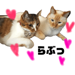 [LINEスタンプ] まろこま☆