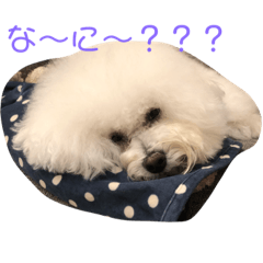 [LINEスタンプ] チャチャワールド
