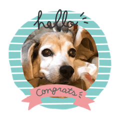 [LINEスタンプ] I loveリン