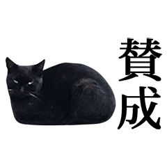 [LINEスタンプ] ねこ 黒 3 漢字