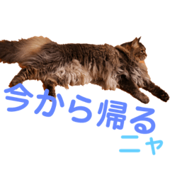 [LINEスタンプ] りんごスタンプ第4弾