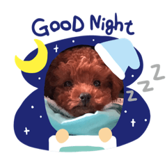 [LINEスタンプ] りくのごあいさつ