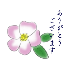 [LINEスタンプ] シンプルな一輪の花の丁寧語スタンプ