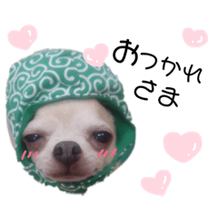 [LINEスタンプ] ぶさかわ犬❤️