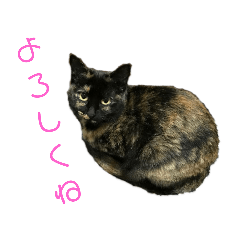 [LINEスタンプ] サビたんスタンプ 