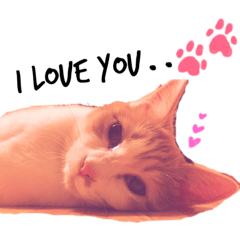 [LINEスタンプ] しずくさんと日常 