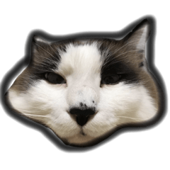 [LINEスタンプ] もちとむぎ fetchpriority=high